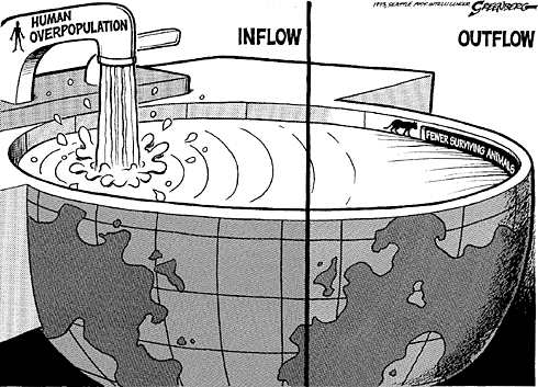 outflow inflow cartoon category toons main environ greenberg